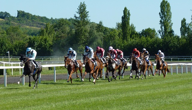 Unusual Payouts For Exotic Horse Racing Bets