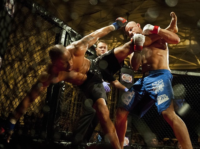 Betting Strategies For Mixed Martial Arts Underdogs