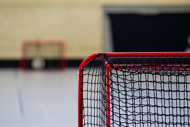 Betting On Minor League Ice Hockey Games